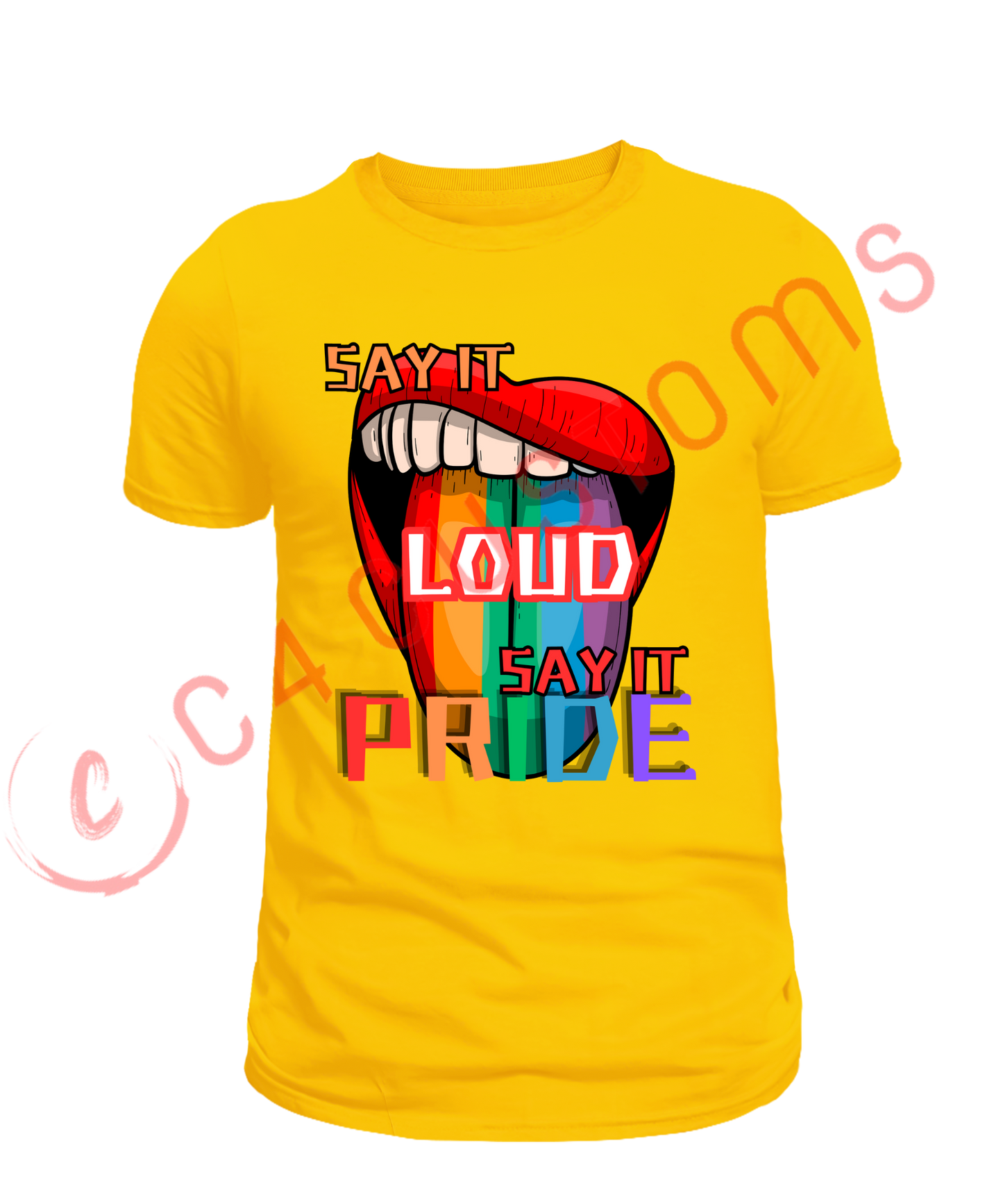 Say It Loud /Say It Pride